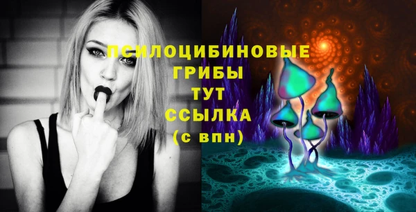 сатива Алзамай