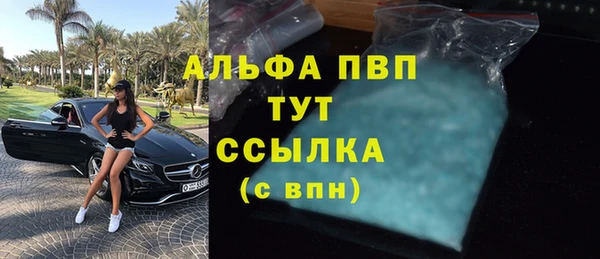 сатива Алзамай