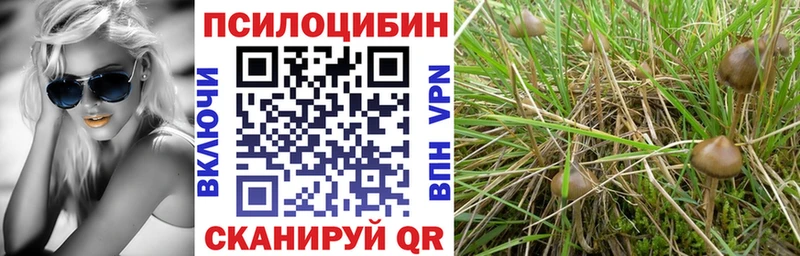 блэк спрут зеркало  Котельники  Псилоцибиновые грибы мухоморы 